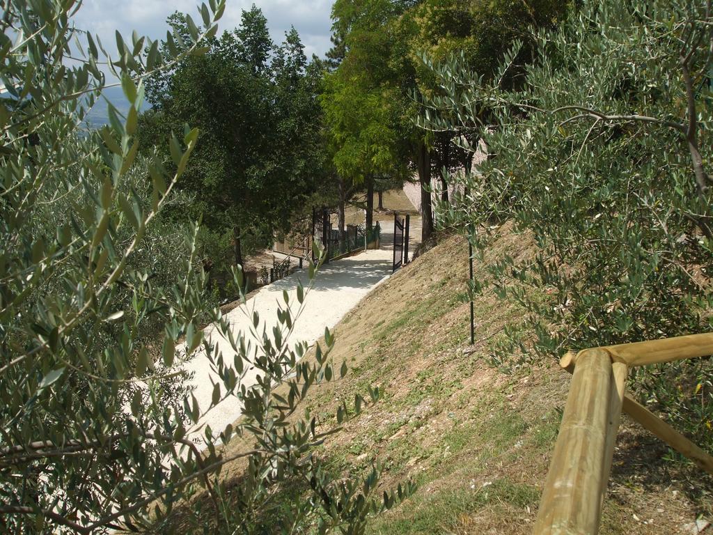 Camere Ramaccia Assisi Exterior photo